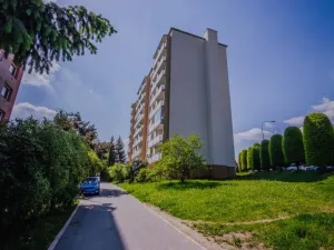 Prodej bytu 1+1, Jihlava, Ortenova, 33 m2