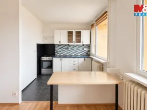 Prodej bytu 2+1, Bílina - Pražské Předměstí, Aléská, 48 m2