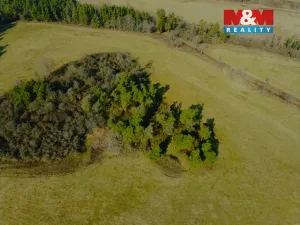 Prodej zahrady, Kladruby - Vrbice u Stříbra, 15633 m2