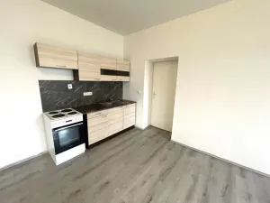 Pronájem bytu 2+kk, Plzeň - Malesice, Malesická náves, 56 m2