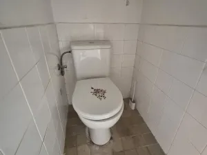 Pronájem zahrady, Planá, 400 m2