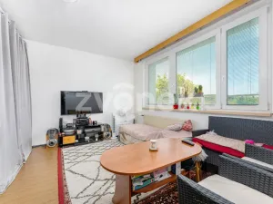Prodej bytu 2+1, Zlín, Budovatelská, 45 m2