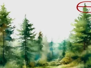 Prodej lesa, Český Dub - Smržov, 57121 m2