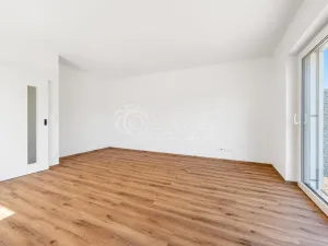 Prodej bytu 3+kk, Olešná, 68 m2
