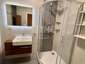 Pronájem bytu 2+1, Opava, Masarykova třída, 52 m2