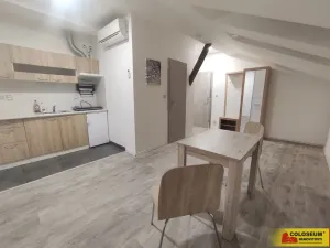 Pronájem bytu 1+kk, Židlochovice, 26 m2