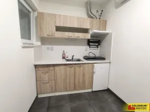 Pronájem bytu 1+kk, Židlochovice, 26 m2