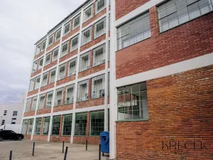 Pronájem bytu 2+kk, Třebíč, Tomáše Bati, 55 m2