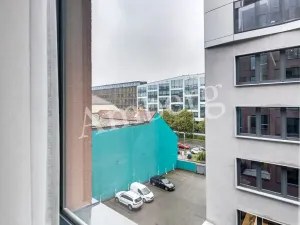 Pronájem bytu 1+kk, Praha - Karlín, Sokolovská, 28 m2