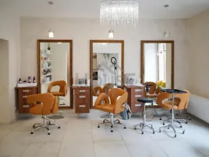 Pronájem obchodního prostoru, Praha - Nové Město, Petrská, 63 m2