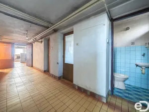 Prodej rodinného domu, Brandýs nad Labem-Stará Boleslav, Královická, 235 m2