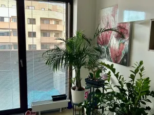 Pronájem bytu 2+kk, Brno - Slatina, Kigginsova, 52 m2