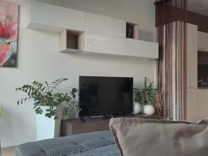 Pronájem bytu 2+kk, Brno - Slatina, Kigginsova, 52 m2