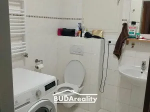 Pronájem bytu 1+kk, Zlín, Březnická, 53 m2