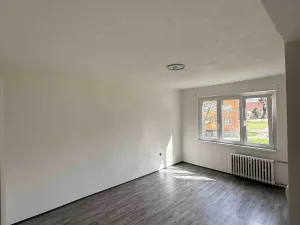 Pronájem bytu 2+1, Bílina, M. Švabinského, 53 m2