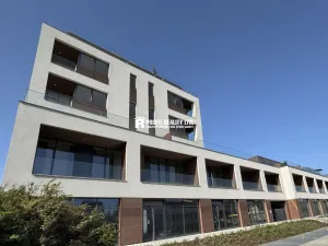Pronájem bytu 2+kk, Praha - Žižkov, Malešická, 50 m2