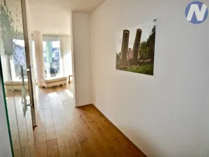 Pronájem bytu 3+1, Písek, Čechova, 110 m2