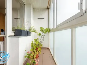 Prodej bytu 2+1, Olomouc, Heyrovského, 58 m2