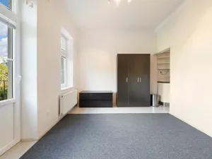 Prodej bytu 1+kk, Brno, Drobného, 30 m2