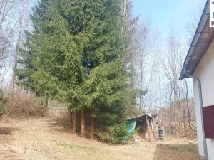 Prodej chalupy, Tři Sekery - Chodovská Huť, 160 m2
