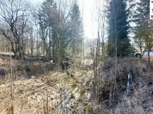 Prodej chalupy, Tři Sekery - Chodovská Huť, 160 m2