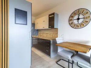 Pronájem bytu 2+kk, Mladá Boleslav - Mladá Boleslav III, Zalužanská, 41 m2