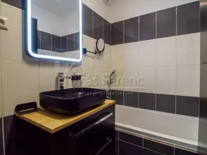 Pronájem bytu 2+kk, Mladá Boleslav - Mladá Boleslav III, Zalužanská, 41 m2