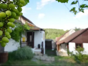 Prodej rodinného domu, Kamberk - Hrajovice, 104 m2
