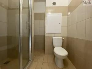 Pronájem bytu 2+kk, Most, Jaroslava Haška, 40 m2