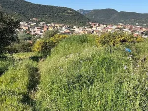 Prodej pozemku pro bydlení, Teulada, Itálie, 300 m2