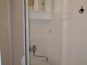 Pronájem bytu 1+kk, Praha - Žižkov, Bořivojova, 18 m2