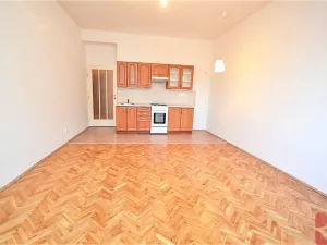 Pronájem bytu 1+kk, Praha - Nusle, Sdružení, 32 m2