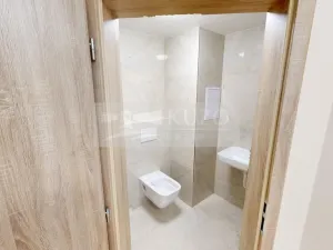 Pronájem bytu 2+kk, Příbram, Gen. R. Tesaříka, 46 m2