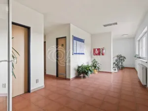 Prodej komerční nemovitosti, Praha - Petrovice, Novopetrovická, 1433 m2