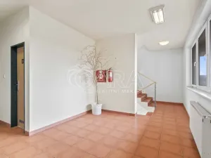 Prodej pozemku pro bydlení, Praha - Petrovice, Novopetrovická, 4543 m2