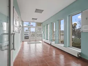 Prodej pozemku pro bydlení, Praha - Petrovice, Novopetrovická, 4543 m2