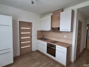 Pronájem bytu 1+1, Ústí nad Labem, Kmochova, 32 m2