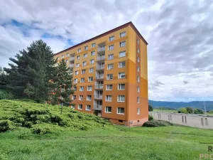 Pronájem bytu 1+1, Ústí nad Labem, Kmochova, 32 m2