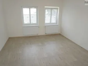 Pronájem bytu 3+1, Litvínov - Horní Litvínov, Halasova, 74 m2