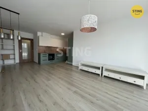 Pronájem bytu 3+kk, Pardubice, Pod Vinicí, 100 m2