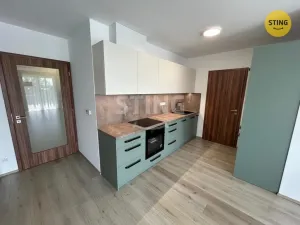 Pronájem bytu 3+kk, Pardubice, Pod Vinicí, 100 m2