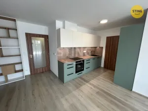 Pronájem bytu 3+kk, Pardubice, Pod Vinicí, 100 m2