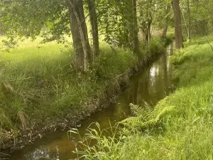 Prodej rybníku, Chlum u Třeboně - Žíteč, 130000 m2