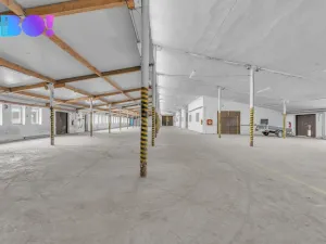 Pronájem výrobních prostor, Morašice, 2657 m2