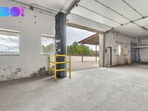 Pronájem výrobních prostor, Morašice, 2657 m2