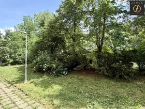 Pronájem bytu 2+1, Praha - Strašnice, Nučická, 65 m2