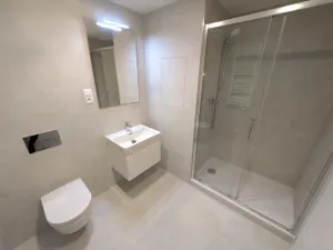 Pronájem bytu 1+kk, Praha - Vysočany, Poděbradská, 39 m2