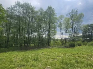 Prodej pozemku, Liberec - Liberec XXIII-Doubí, Malodoubská, 9589 m2
