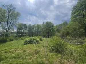 Prodej pozemku, Liberec - Liberec XXIII-Doubí, Malodoubská, 9589 m2