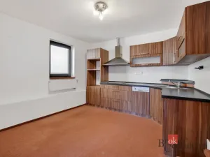 Prodej historického objektu, Litoměřice - Litoměřice-Město, Novobranská, 499 m2